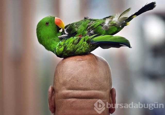 Dünyanın en ilginç fotoğrafları