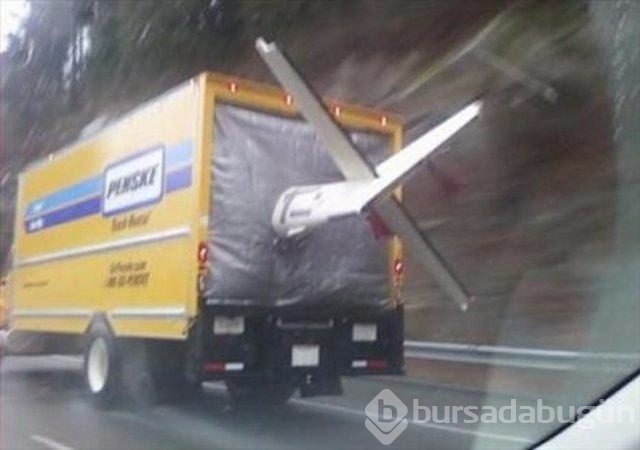 Dünyanın en ilginç fotoğrafları