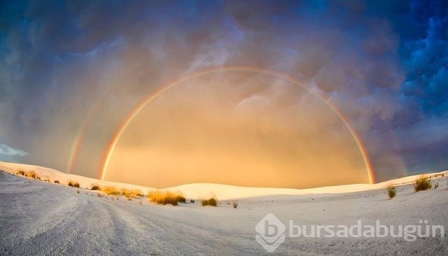 Dünyanın en ilginç fotoğrafları