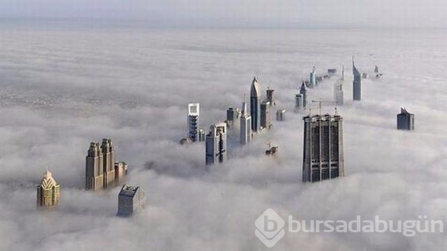 Dünyanın en ilginç fotoğrafları
