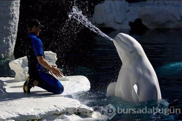 Dünyanın en ilginç fotoğrafları