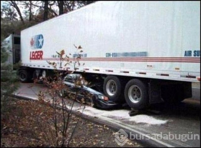 Dünyanın en ilginç fotoğrafları