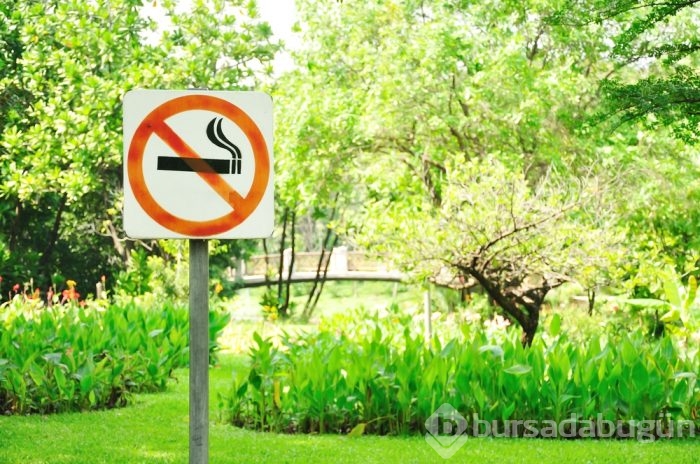 Sigarayı sakızla bırakanlar dikkat!