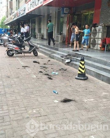 Aldatılan eşlerin acı intikamları