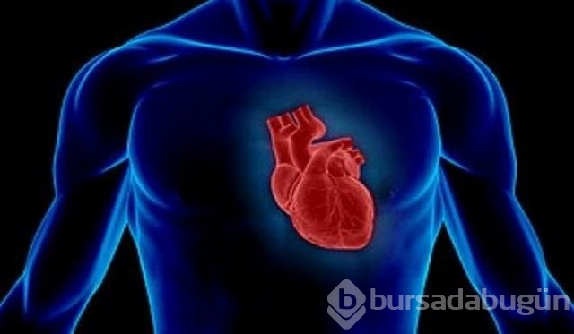  İnsan vücudu hakkında ilginç bilgiler