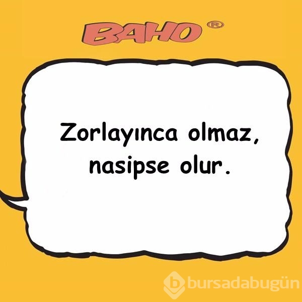 Baho sosyal medyayı sallıyor