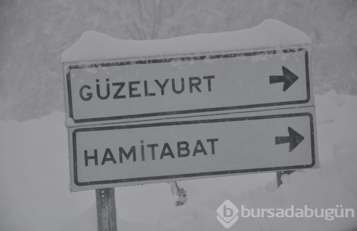 Bursa'da kar kabusu!