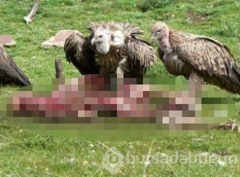 Ölüm hakkında ilk kez duyacağınız ilginç bilgiler