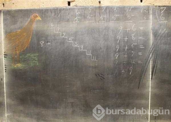 Dünyanın en ilginç fotoğrafları