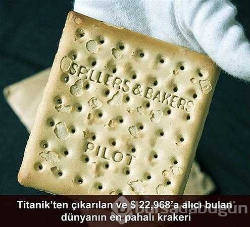 Dünyanın en ilginç fotoğrafları