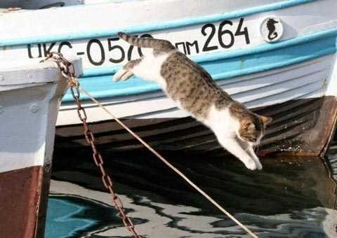 Günün en çok paylaşılan fotoğrafları