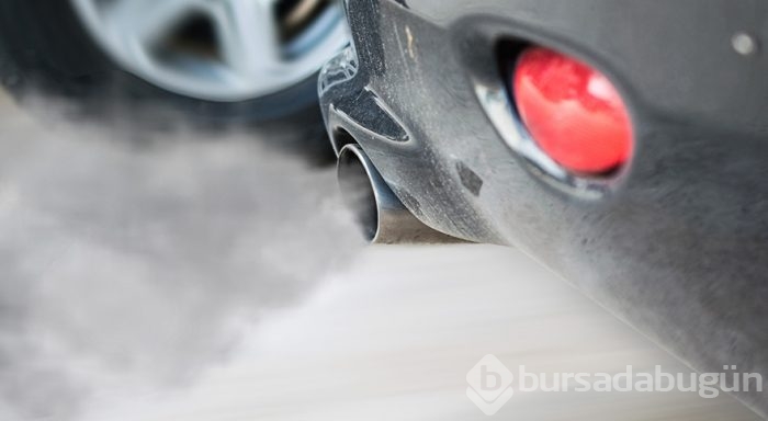 Egzoz gazı vücudumuza ne yapıyor?