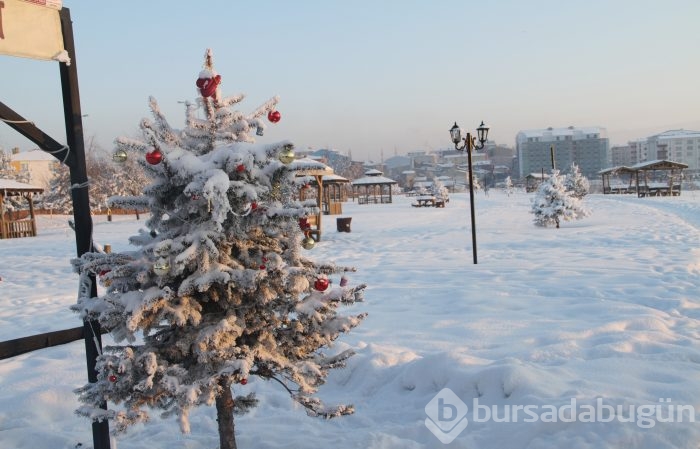 Sibirya değil Ardahan