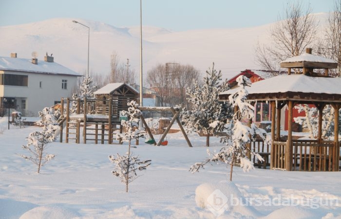 Sibirya değil Ardahan