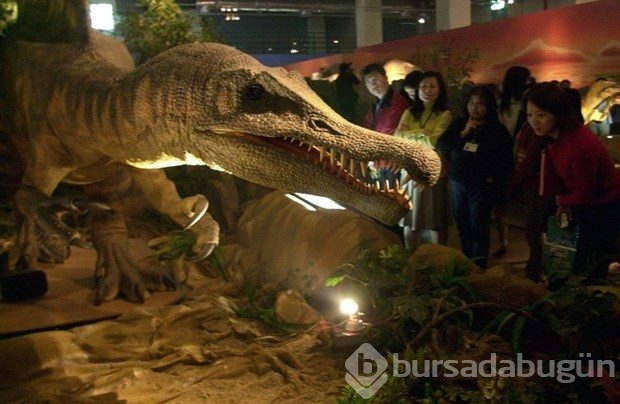 Dinozorların neslinin tükenmesi ile ilgili yeni iddia