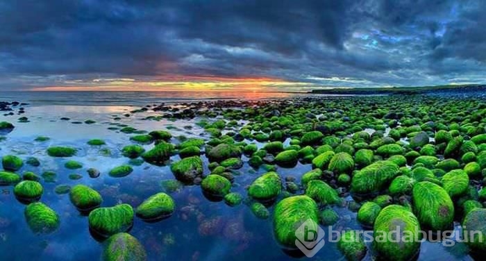 Nefes kesen fotoğraflar