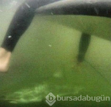 Su altının inanılmaz fotoğrafları
