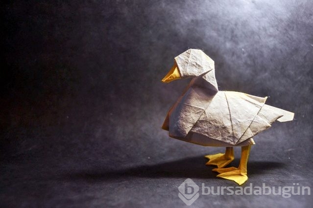 İnanılmaz origami hayvanlar