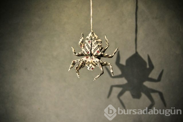 İnanılmaz origami hayvanlar