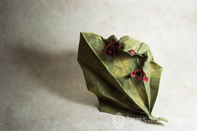 İnanılmaz origami hayvanlar