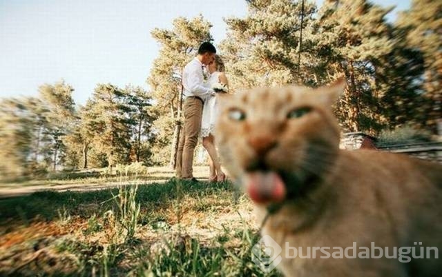 Günün en eğlenceli fotoğrafları