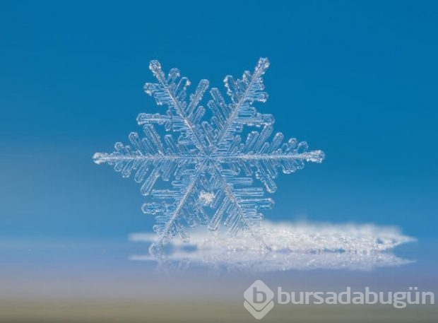Günün beğenilen ve çok paylaşılan fotoğrafları