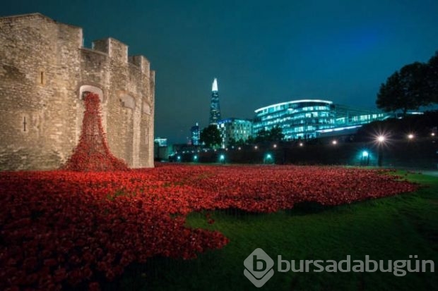 Günün beğenilen ve çok paylaşılan fotoğrafları