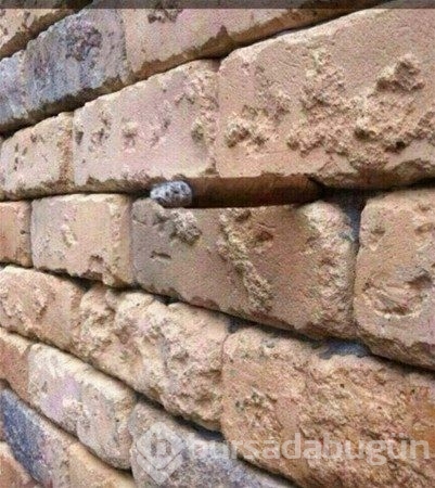 Bu fotoğraflara 2 kez bakın