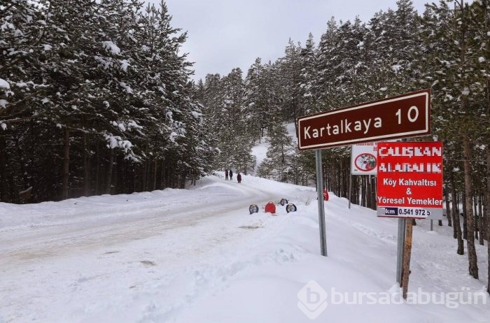 Hangi kayak merkezine gitmeli?