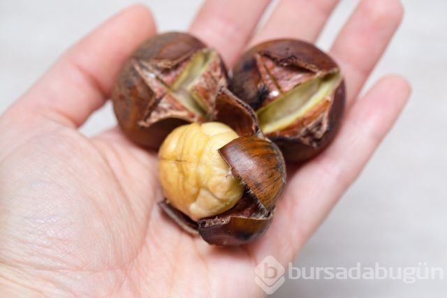 Kestanenin azı karar çoğu zarar