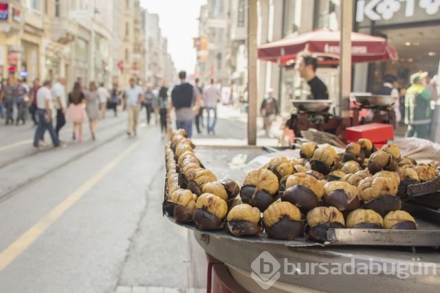 Kestanenin azı karar çoğu zarar