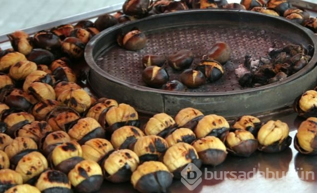 Kestanenin azı karar çoğu zarar