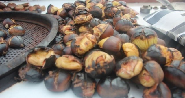 Kestanenin azı karar çoğu zarar