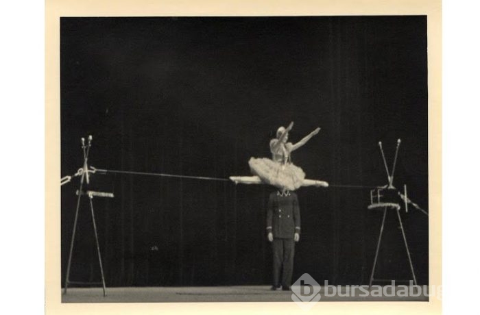 Mükemmel bir zamanlamayla çekilmiş 15 foto