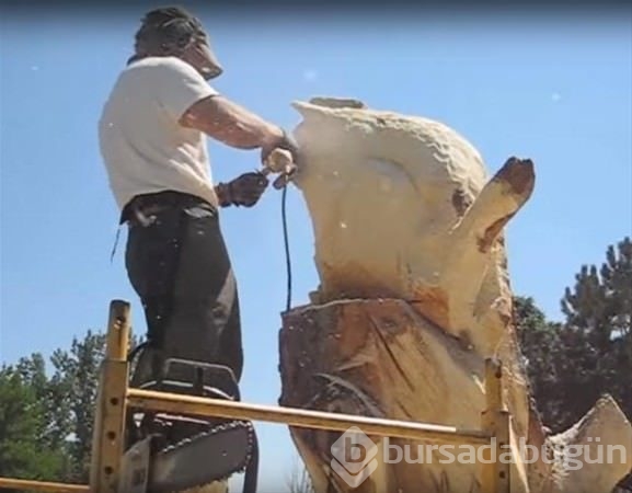 Kurumuş ağaçtan bakın ne yaptı!