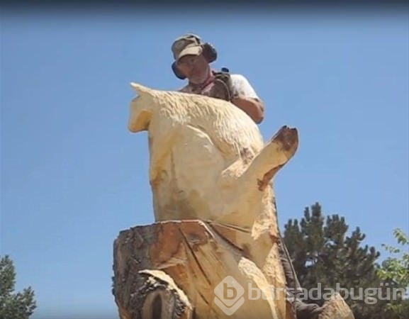 Kurumuş ağaçtan bakın ne yaptı!