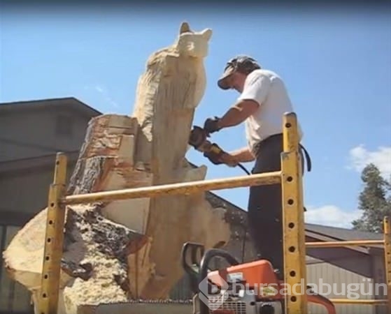 Kurumuş ağaçtan bakın ne yaptı!