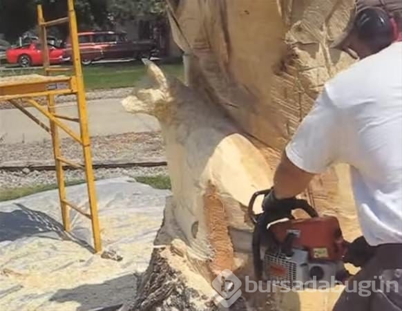 Kurumuş ağaçtan bakın ne yaptı!
