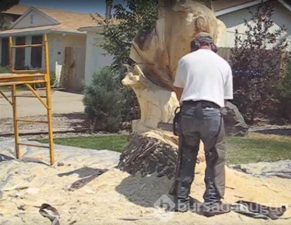 Kurumuş ağaçtan bakın ne yaptı!