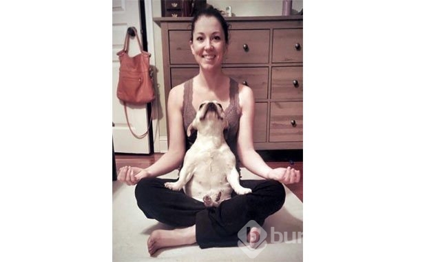 Sevimli hayvanlardan yoga pozisyonları