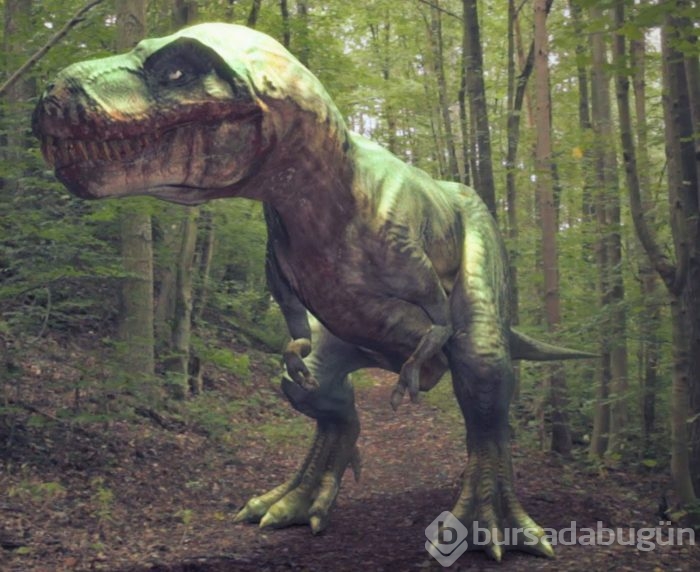 Dinozorların neden yok olduğu ortaya çıktı