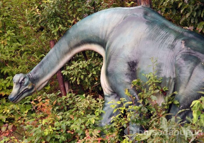 Dinozorların neden yok olduğu ortaya çıktı