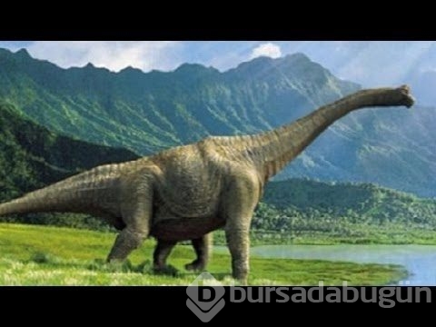 Dinozorların neden yok olduğu ortaya çıktı