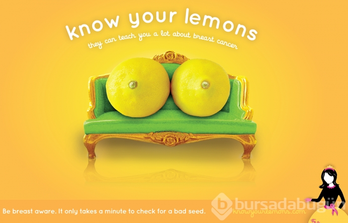 Hayatınızı kurtarabilecek 12 limon
