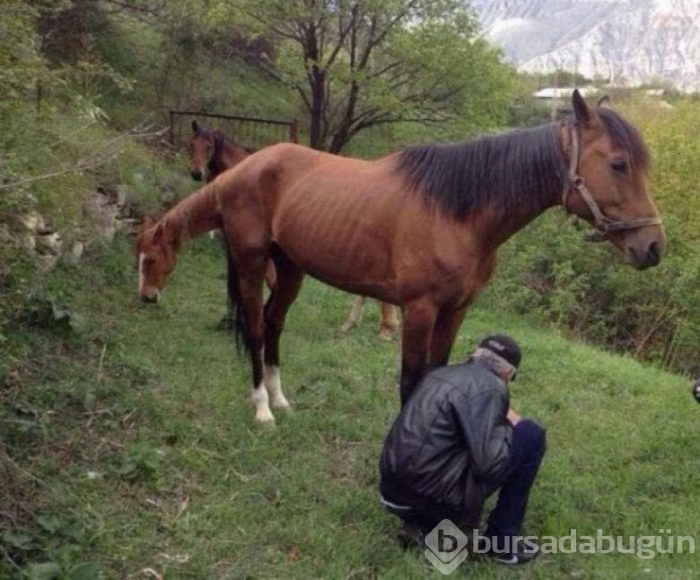 Anlamanız için iki kere bakmanız gerek 