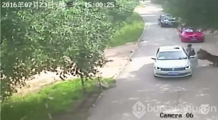 Güvenlik kameralarına yakalanan korkunç resimler
