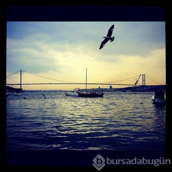 Türk Instagram kullanıcılarının şifreleri tehlikede