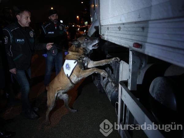 Bursa'da 162 kilo eroin ele geçirildi
