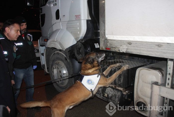 Bursa'da 162 kilo eroin ele geçirildi
