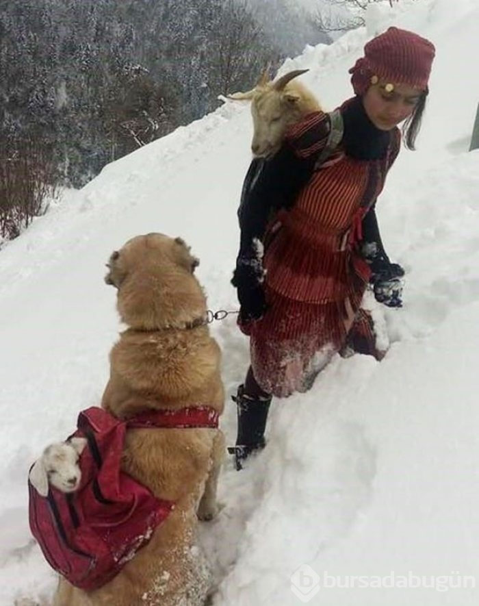 Rize'li küçük kız insanlık dersi verdi